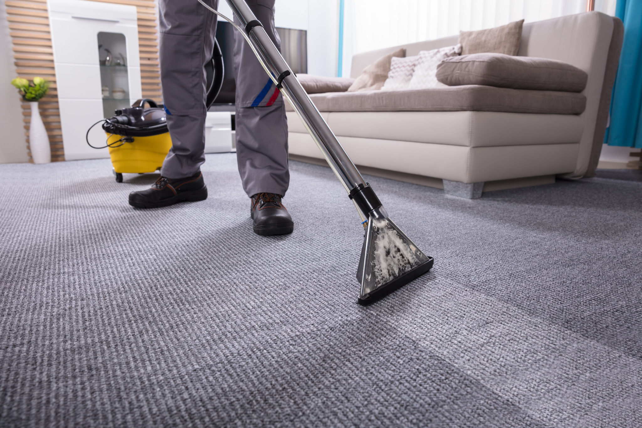 Carpet Cleaning How Much Does it Cost? Carpet Fellas